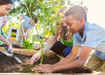 Is Your Online Community Ready to Change the Real World?