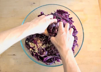 What If the Secret to Gut Health Was fermenting on Your Countertop?