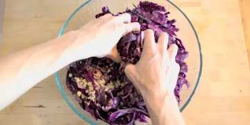 What If the Secret to Gut Health Was fermenting on Your Countertop?