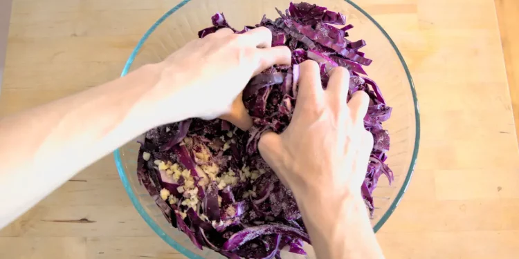 What If the Secret to Gut Health Was fermenting on Your Countertop?