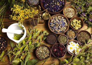 Herbal Infusions: How Can You Use Herbs in Cooking, Drinks, and Wellness for a Healthier Lifestyle?