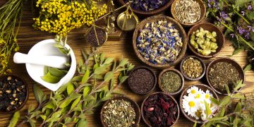 Herbal Infusions: How Can You Use Herbs in Cooking, Drinks, and Wellness for a Healthier Lifestyle?