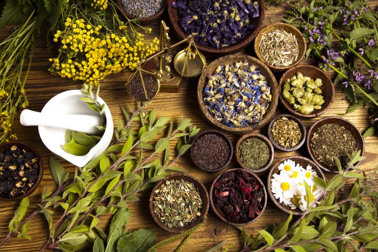 Herbal Infusions: How Can You Use Herbs in Cooking, Drinks, and Wellness for a Healthier Lifestyle?